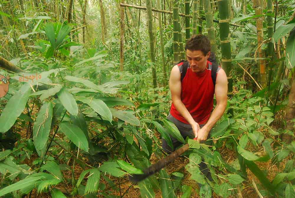 En la selva