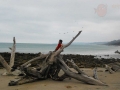 La isla del tesoro