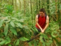 En la selva