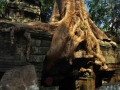Angkor Wat 11