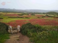 Portones del camino