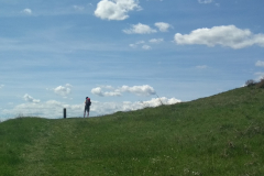 Camino de Santiago