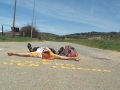 El camino de Santiago 2
