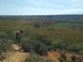 El camino de Santiago 4