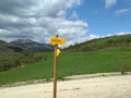El camino de Santiago 6