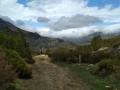 El camino de Santiago 7