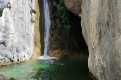 Cavalls del Vent