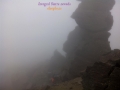 Integral Sierra Nevada 2015
