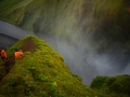 skogafoss