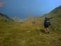 Pirineos