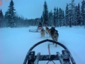 Con huskies al fin del mundo