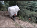 porteadores 13