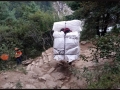 porteadores 14