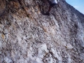 Clavijas de Pirineos