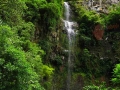 Ruta Quetzal hacia la cascada