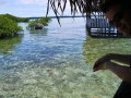 Bocas del Toro