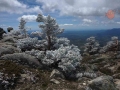 Siete Picos