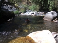 sierra nevada 60