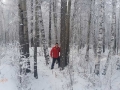 Acorralado en Siberia
