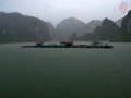Bahía Halong 4